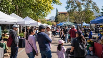 A family with young children strolling through a crowded outdoor farmers market lined with canopy tents and vendors under bright sunlight.